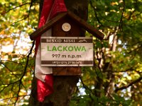 Zloty Lisc 2021 (43)